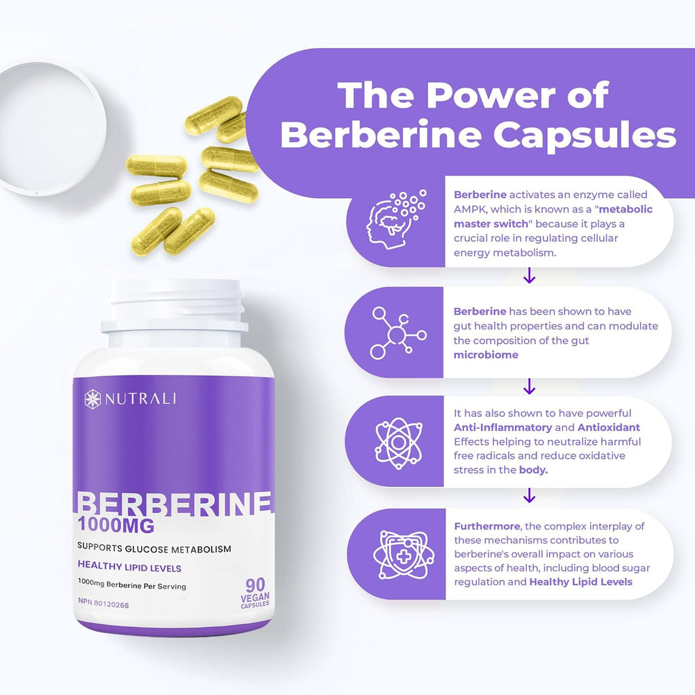 
                  
                    Berberine Capsules - 1000mg (per serving)
                  
                