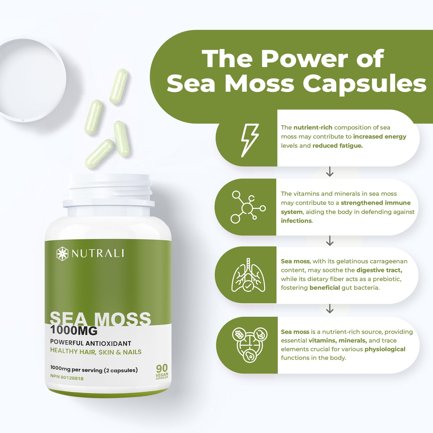 
                  
                    Irish Sea Moss Capsules - 1000mg
                  
                