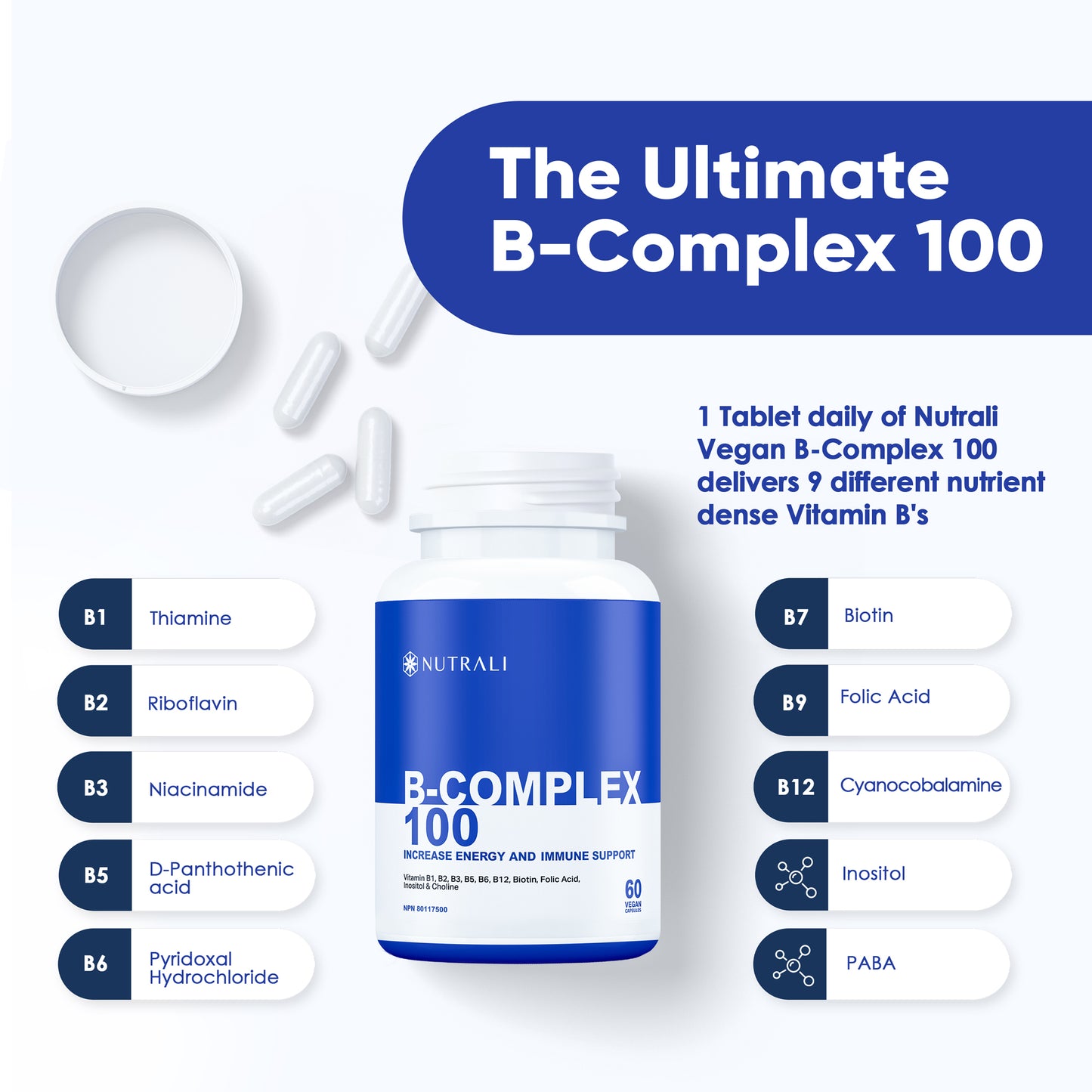 
                  
                    B-Complex 100 Capsules
                  
                