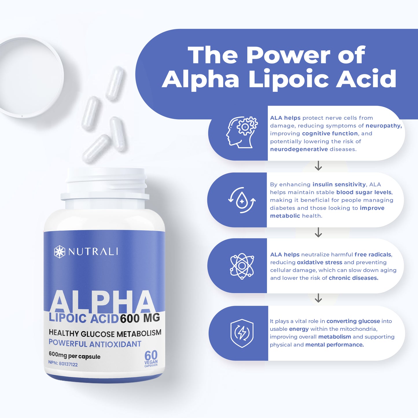 
                  
                    Alpha Lipoic Acid (ALA) Capsules -  600mg
                  
                