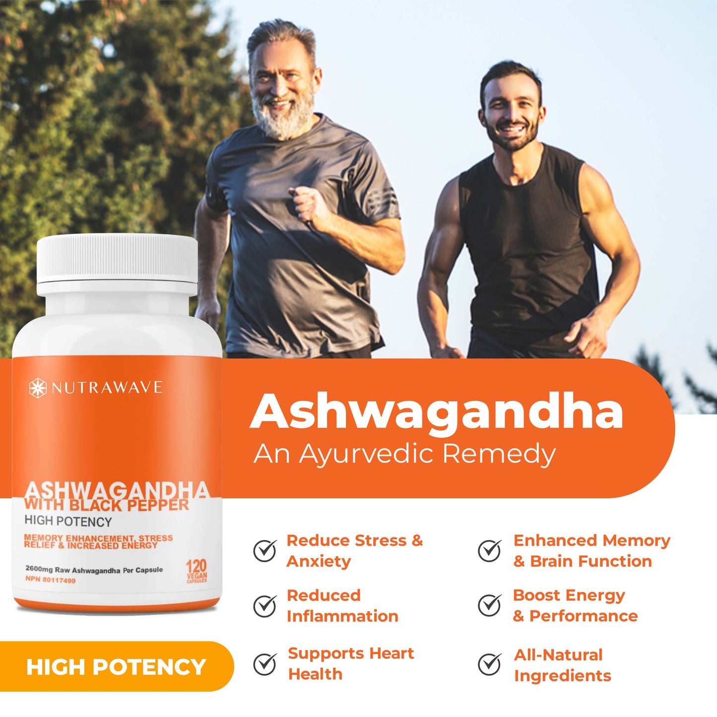 
                  
                    Ashwagandha Powder with Black Pepper Extract Capsules - 2600mg
                  
                