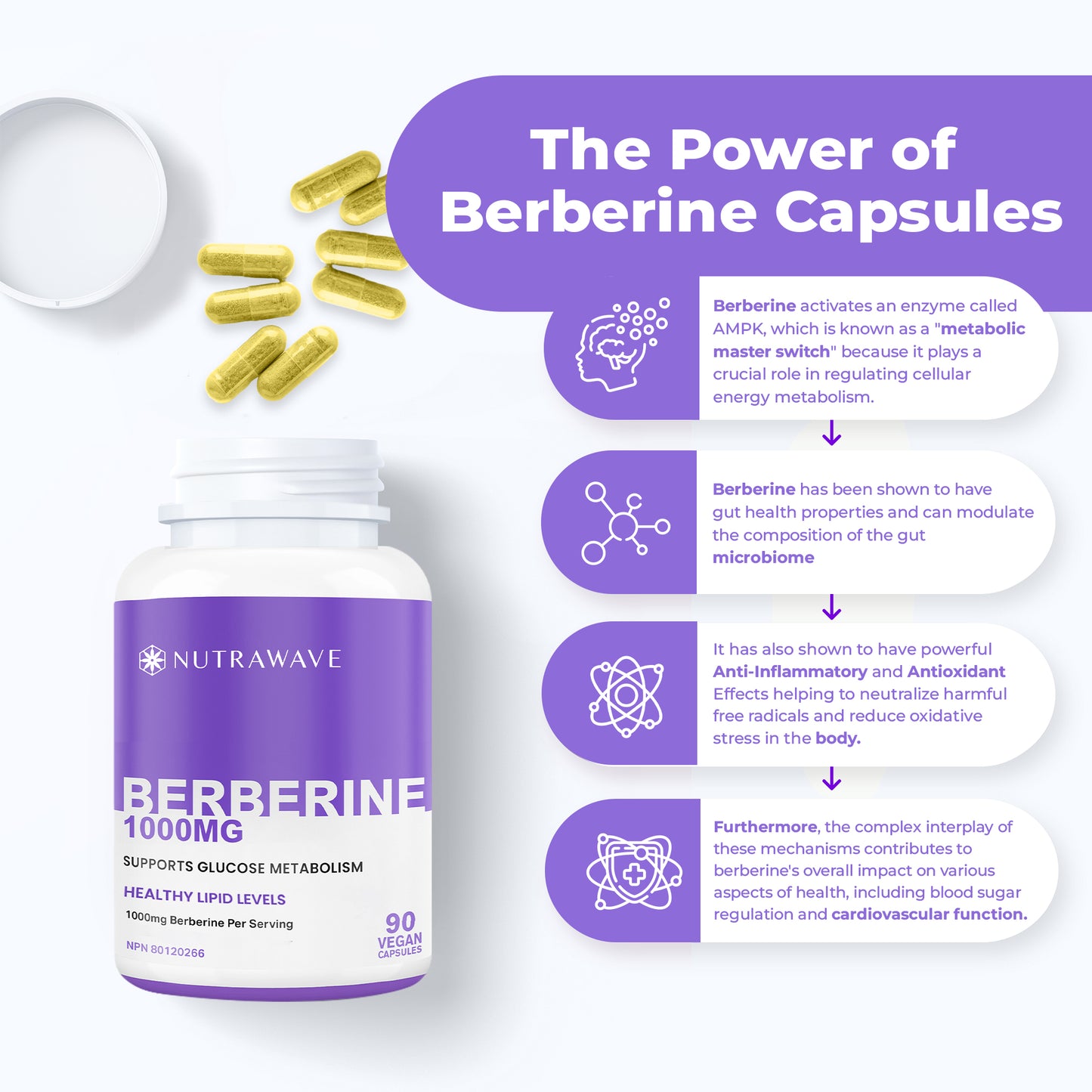 
                  
                    Berberine Capsules - 1000mg (per serving)
                  
                