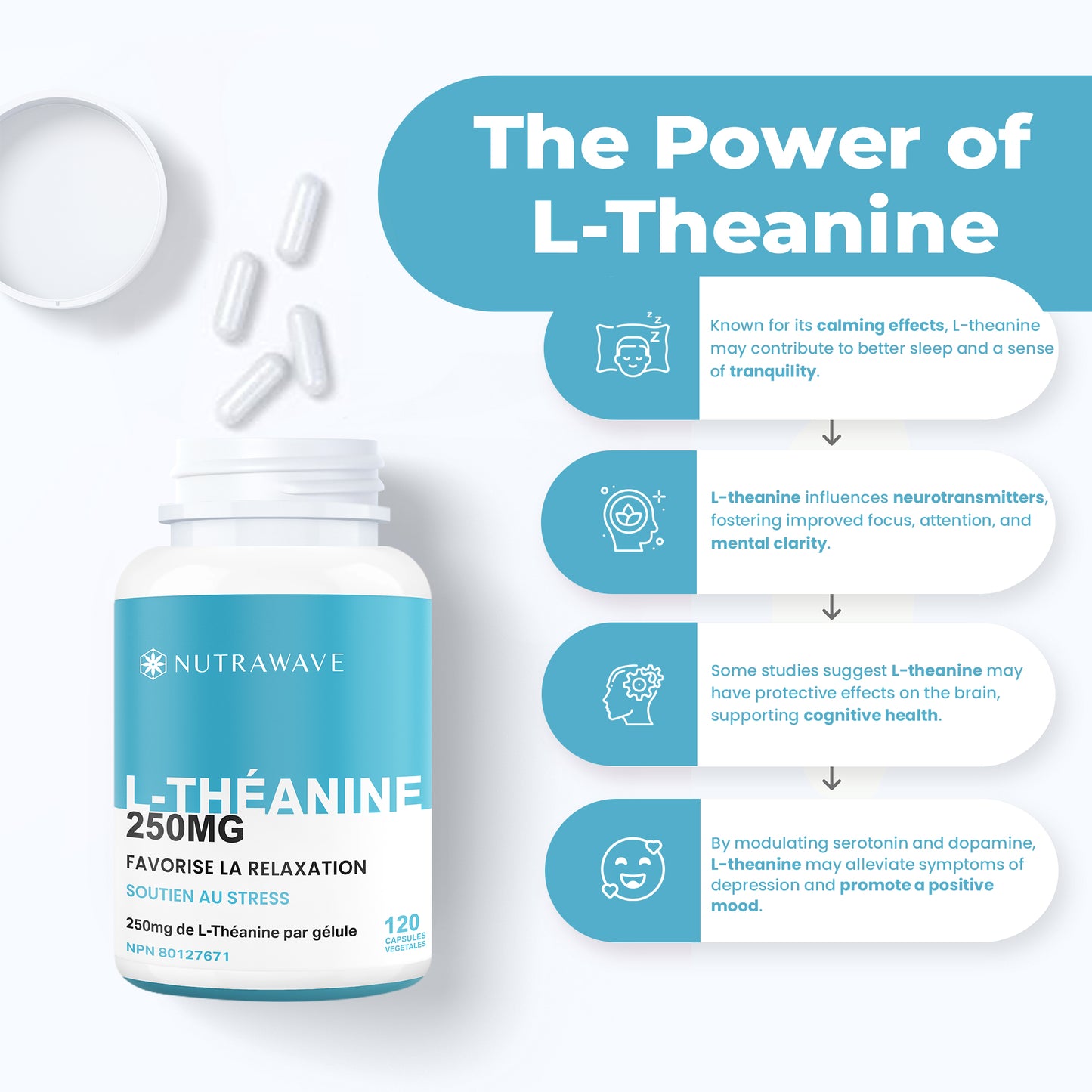 
                  
                    L-Theanine Capsules – 250mg
                  
                