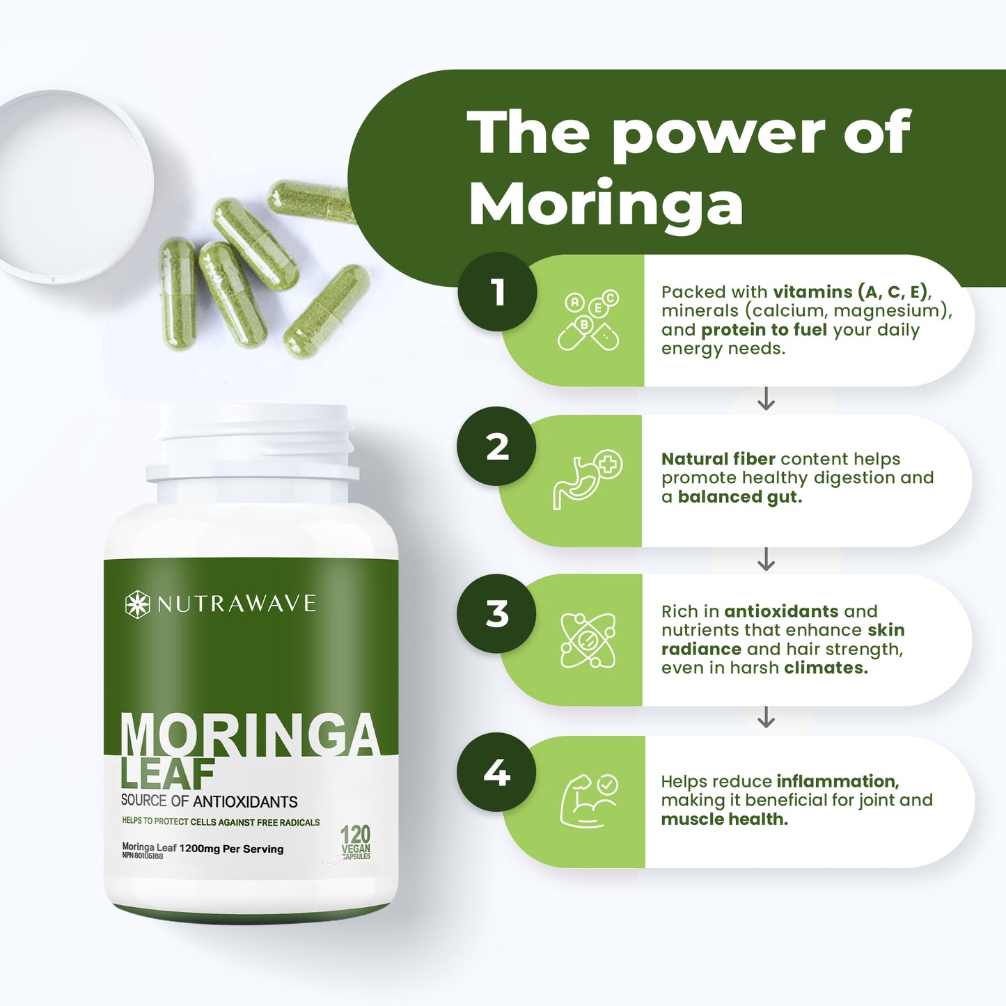 
                  
                    Organic Moringa Leaf Capsules - 1200mg
                  
                