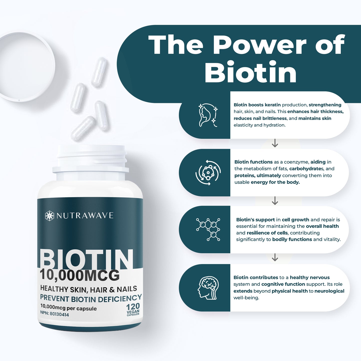 
                  
                    Biotin Capsules - 10000mcg
                  
                