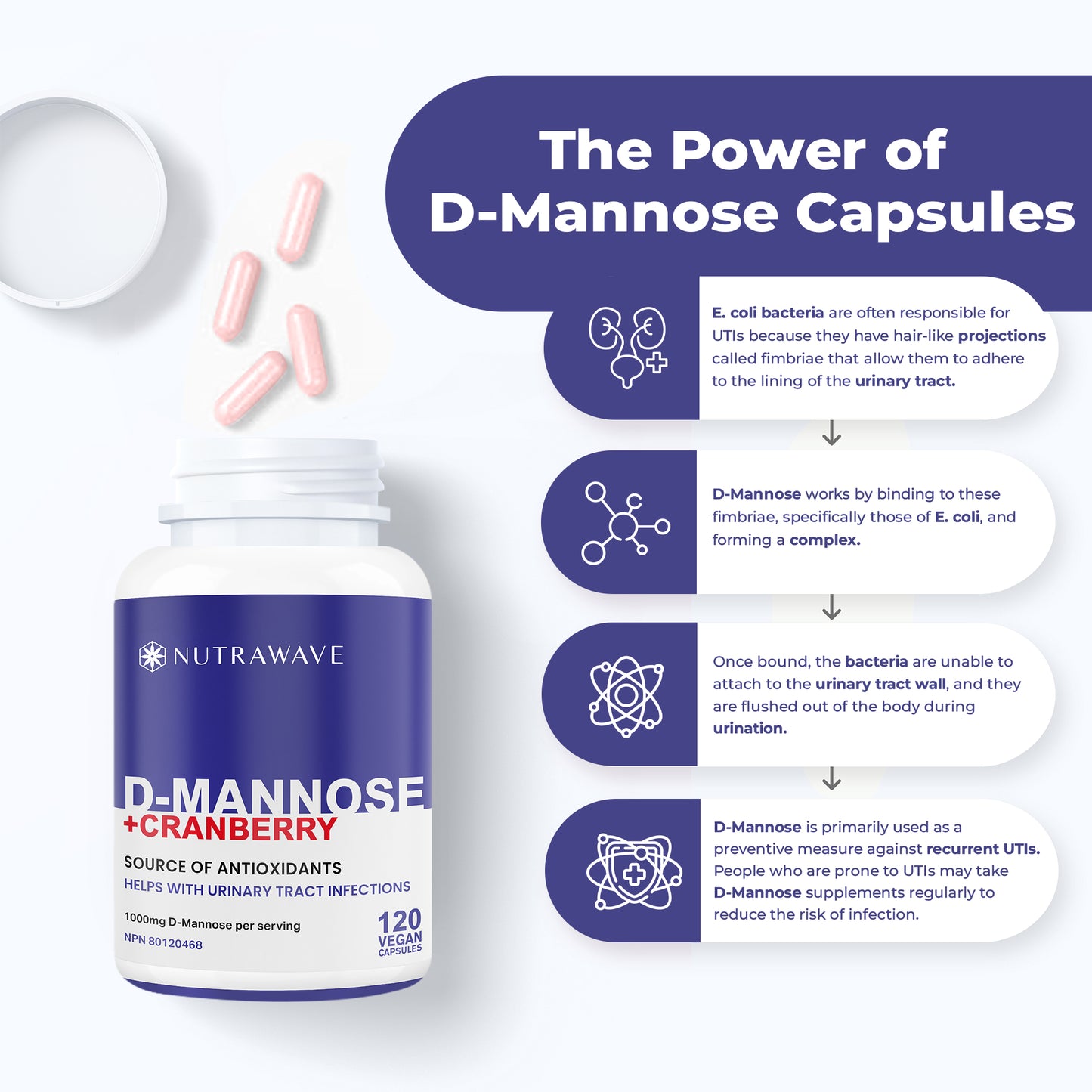 
                  
                    D-Mannose + Cranberry Capsules – 1000mg
                  
                