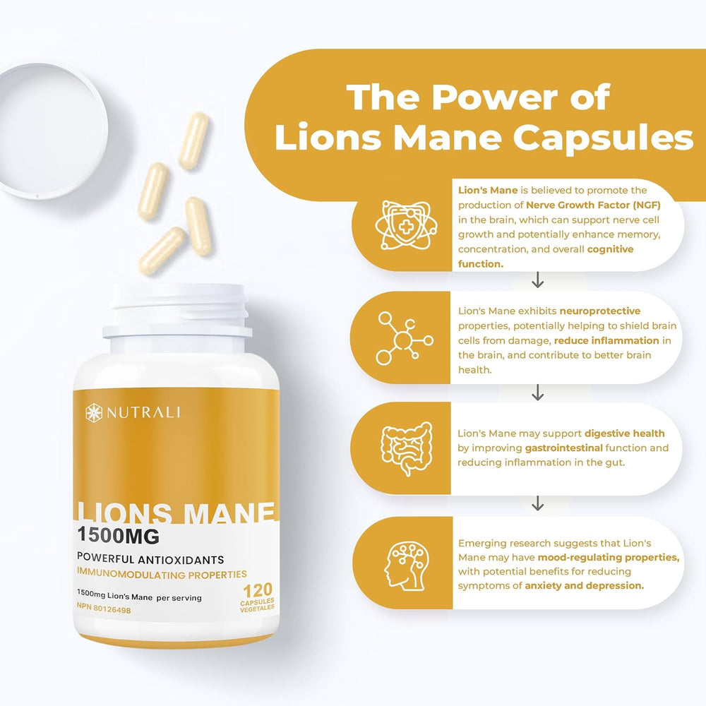 
                  
                    Lions Mane Extract Capsules – 1500mg
                  
                