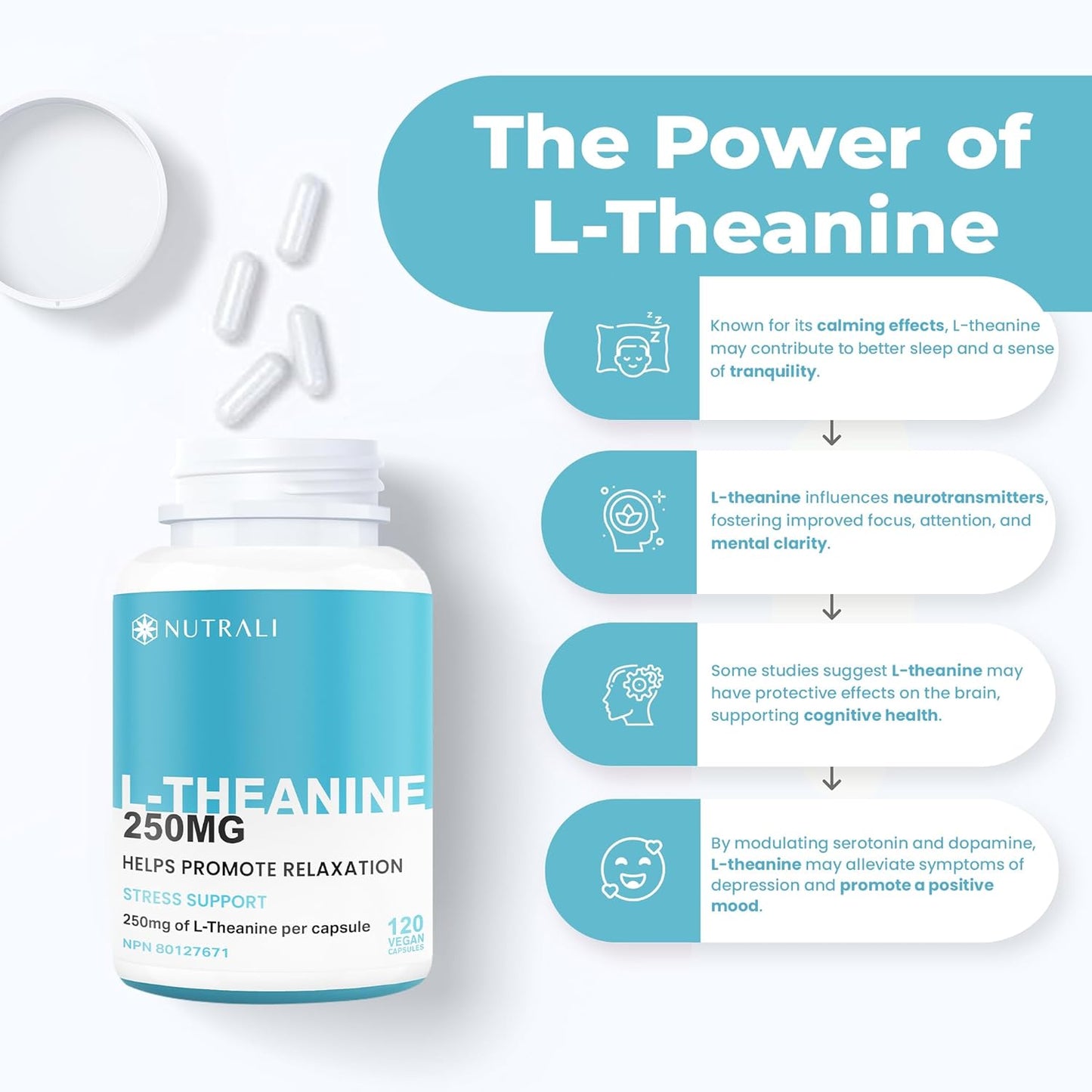 
                  
                    L-Theanine Capsules – 250mg
                  
                