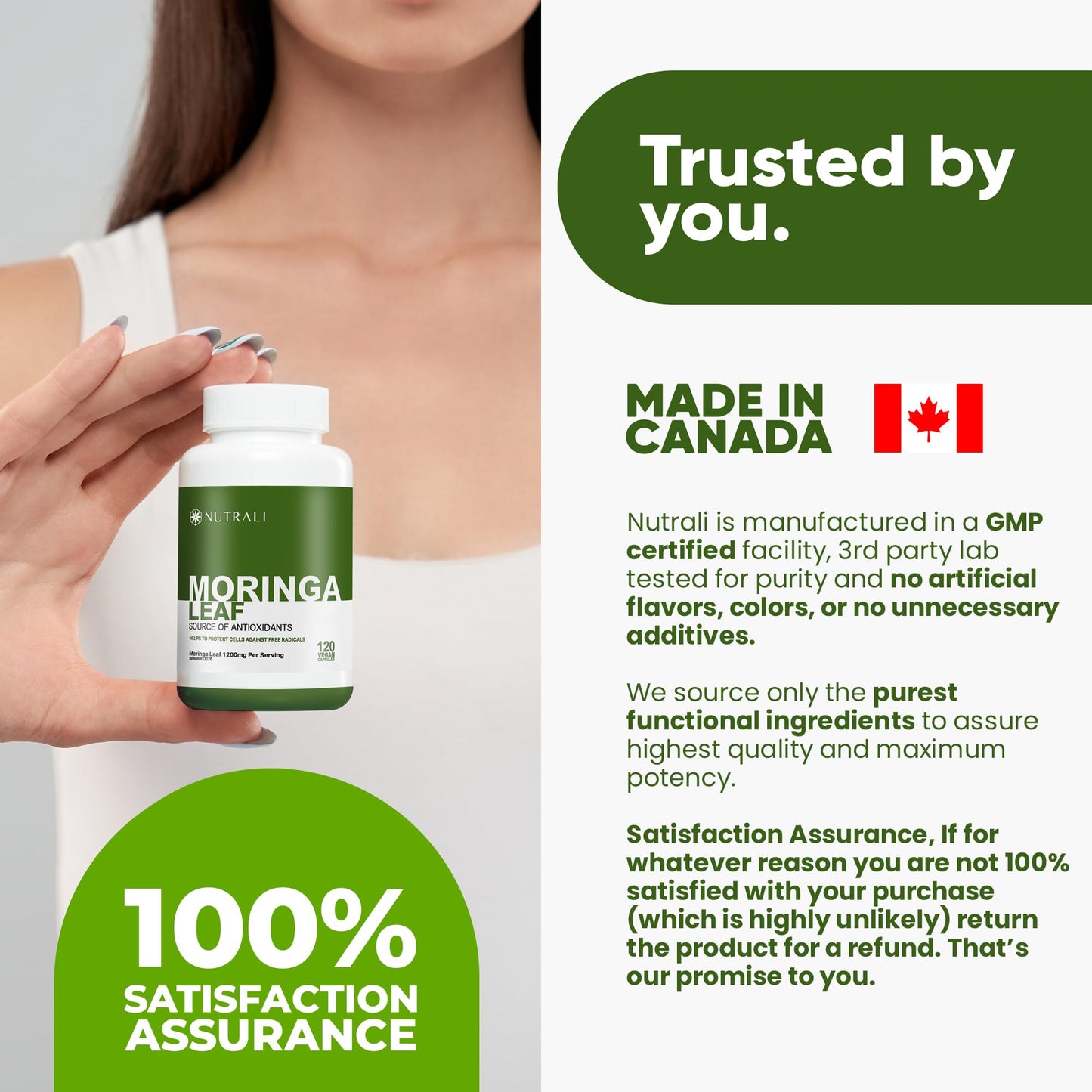 
                  
                    Organic Moringa Leaf Capsules - 1200mg
                  
                