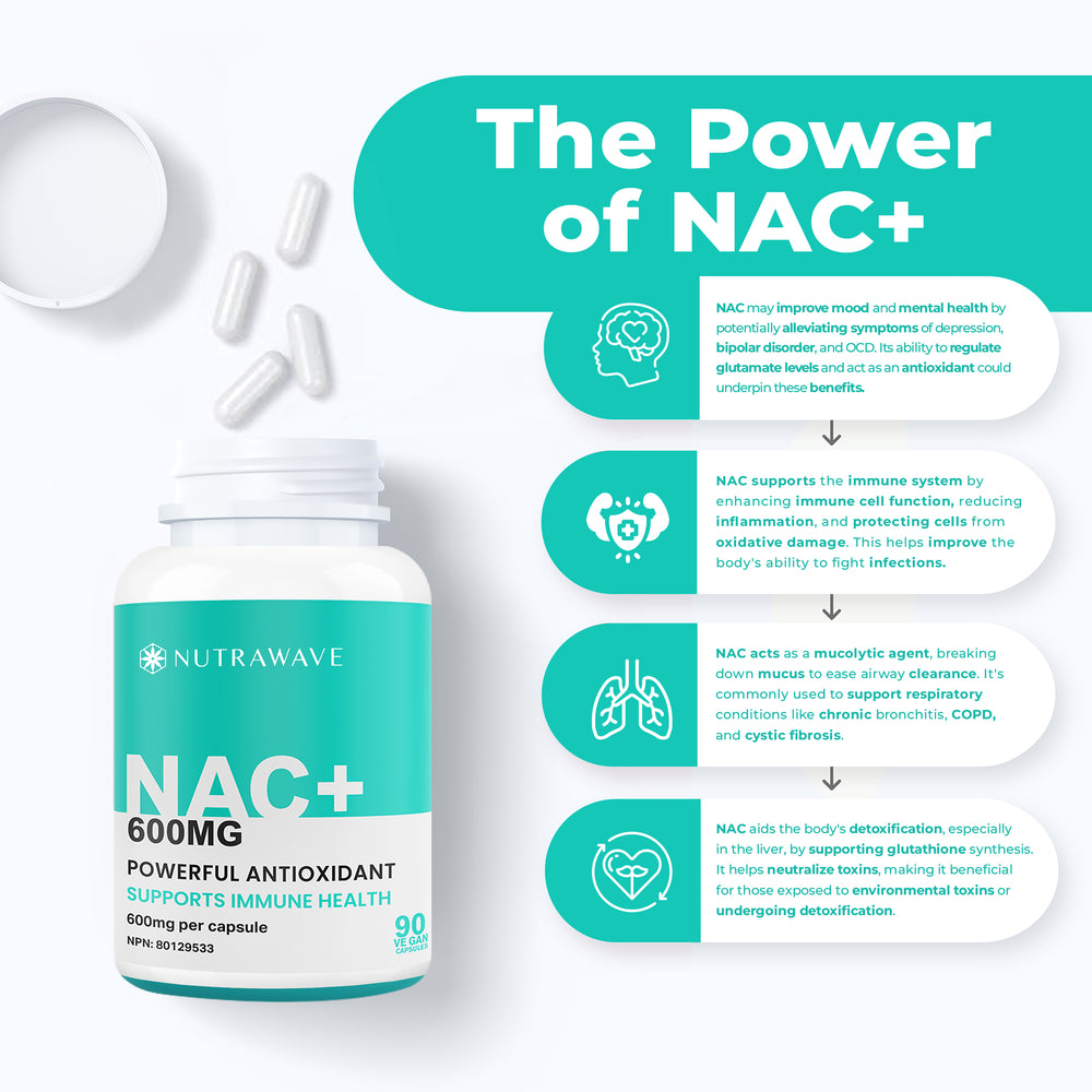 
                  
                    NAC (N-Acetyl-l-Cysteine) - 600mg
                  
                