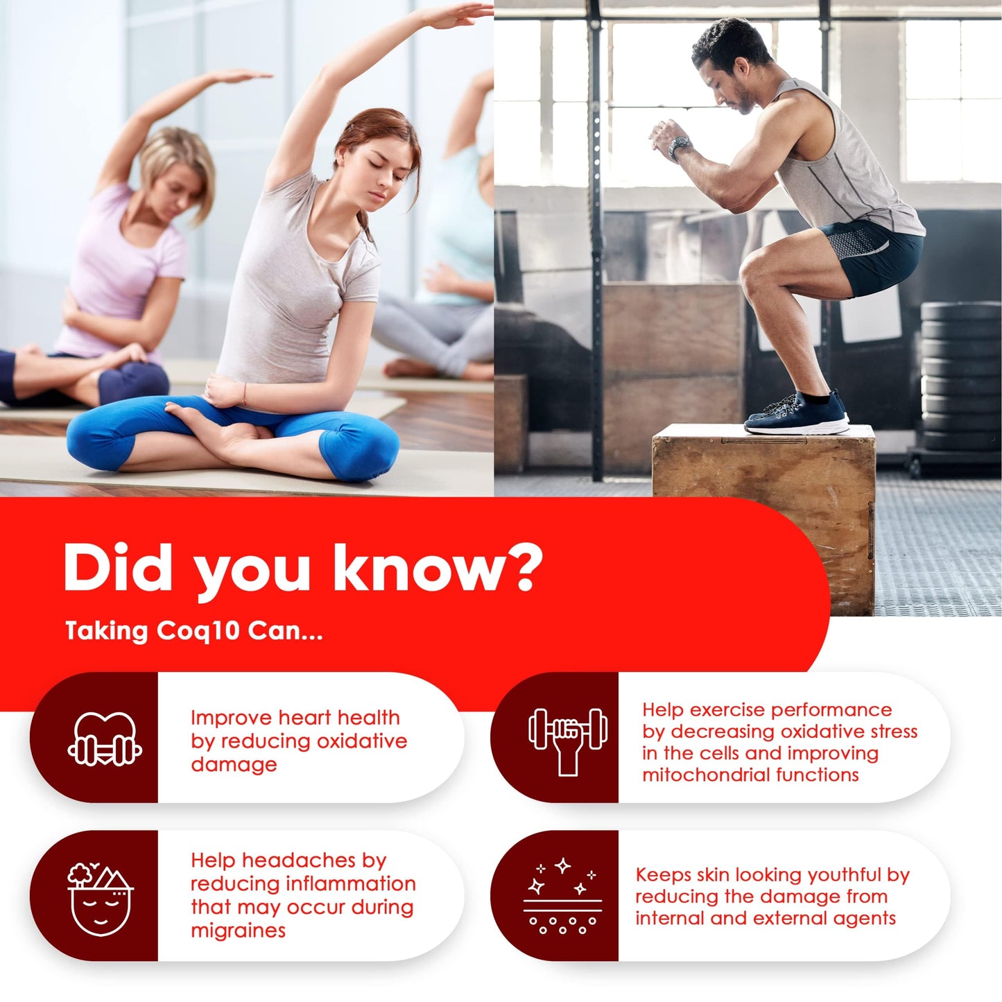 
                  
                    CoQ10 Ubiquinone Capsules - 200mg
                  
                