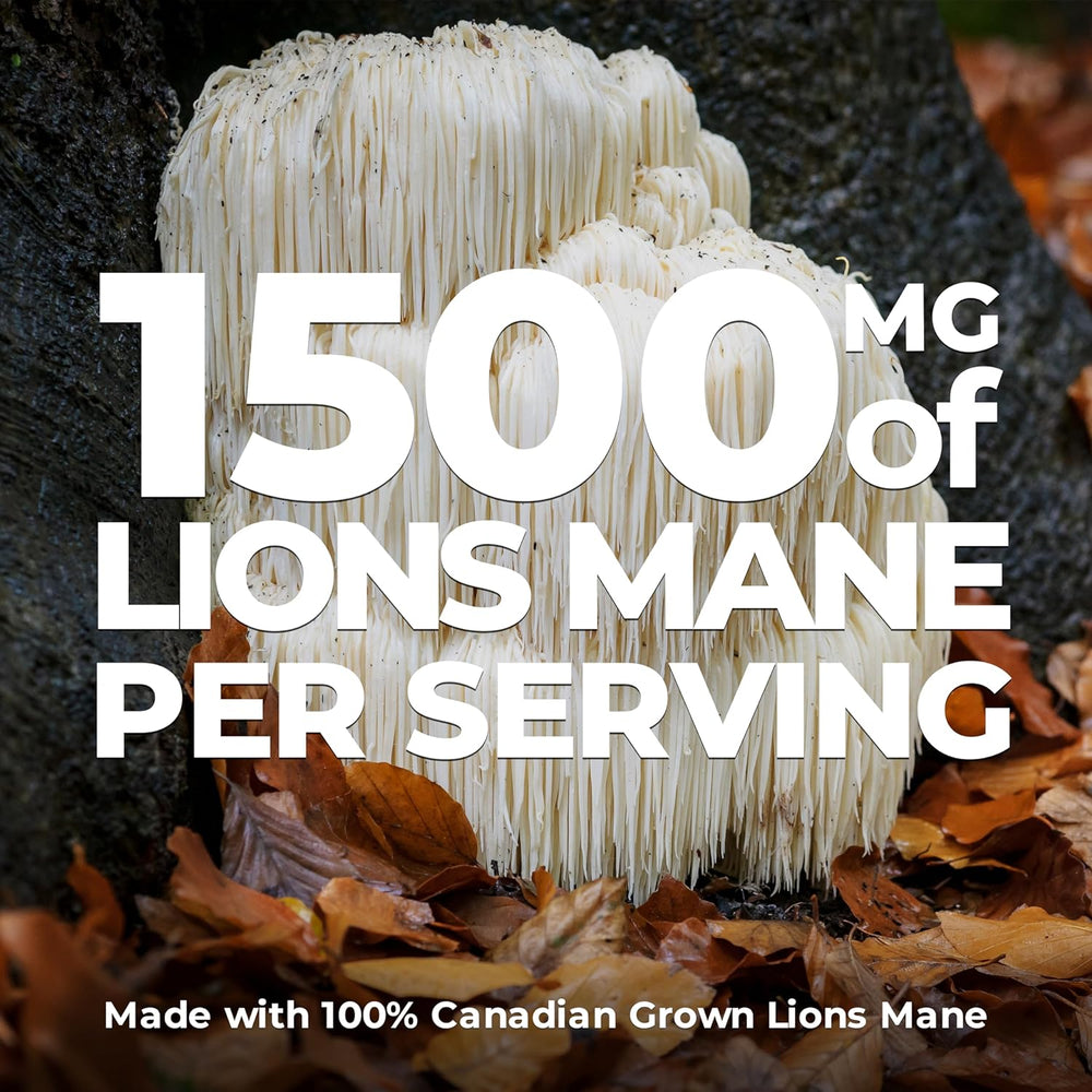 
                  
                    Lions Mane Extract Capsules – 1500mg
                  
                